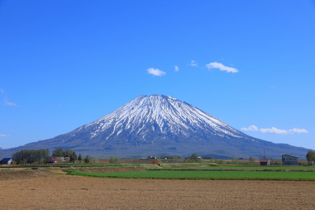 正月
初夢
一富士二鷹三茄子
続き
雑学