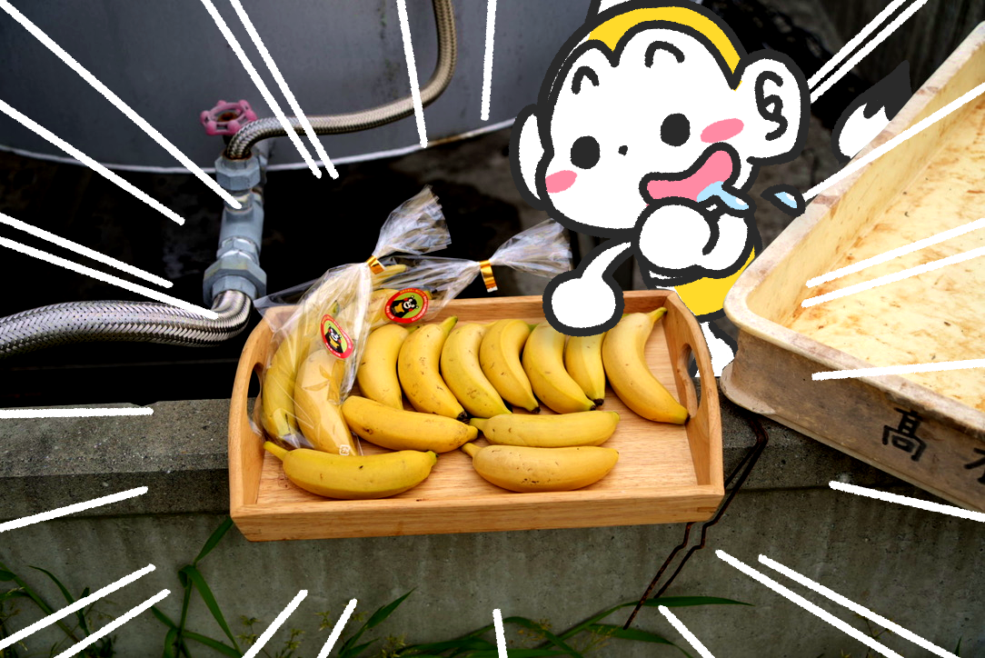 メモざる バナナ たかき 熊本