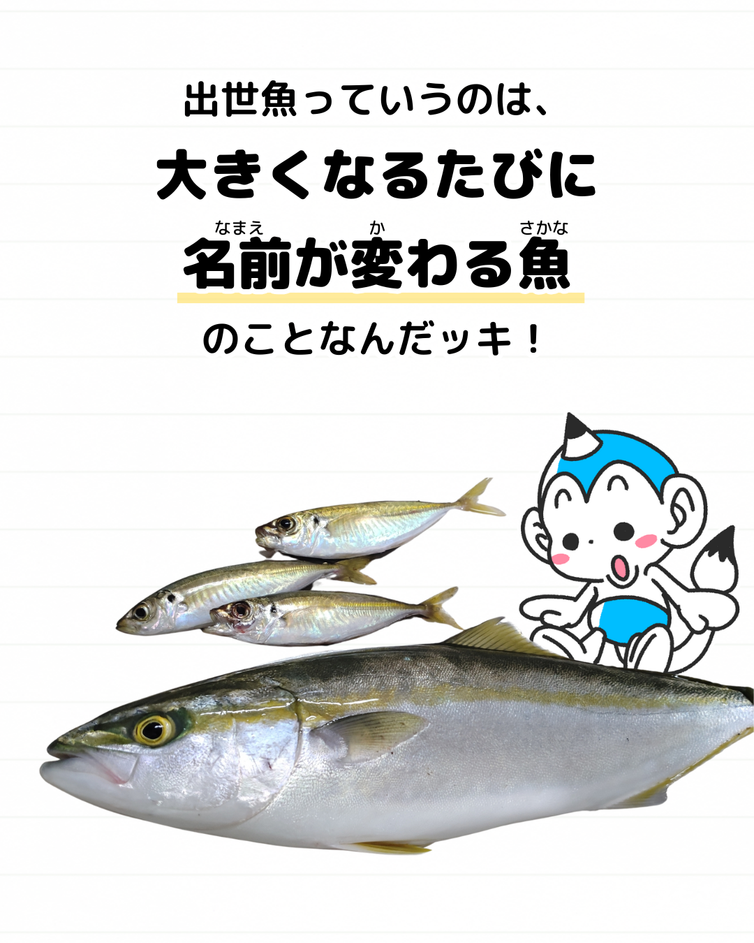 出世魚 ブリ ハマチ 雑学 豆知識 メモざる とは