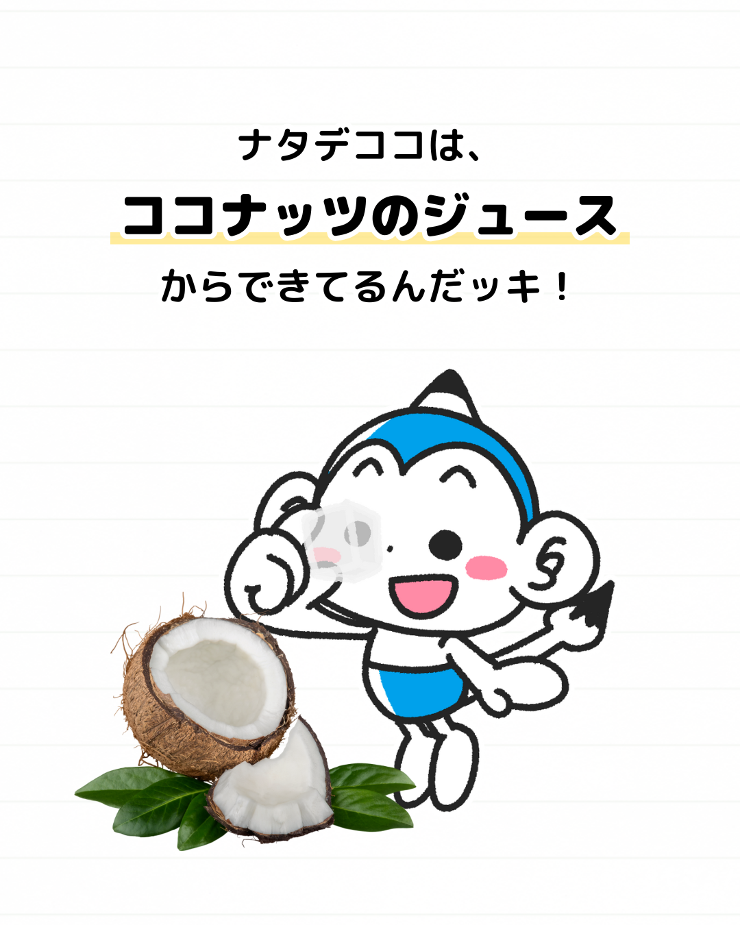 ナタデココ
ココナッツ
雑学
豆知識
なぜ
