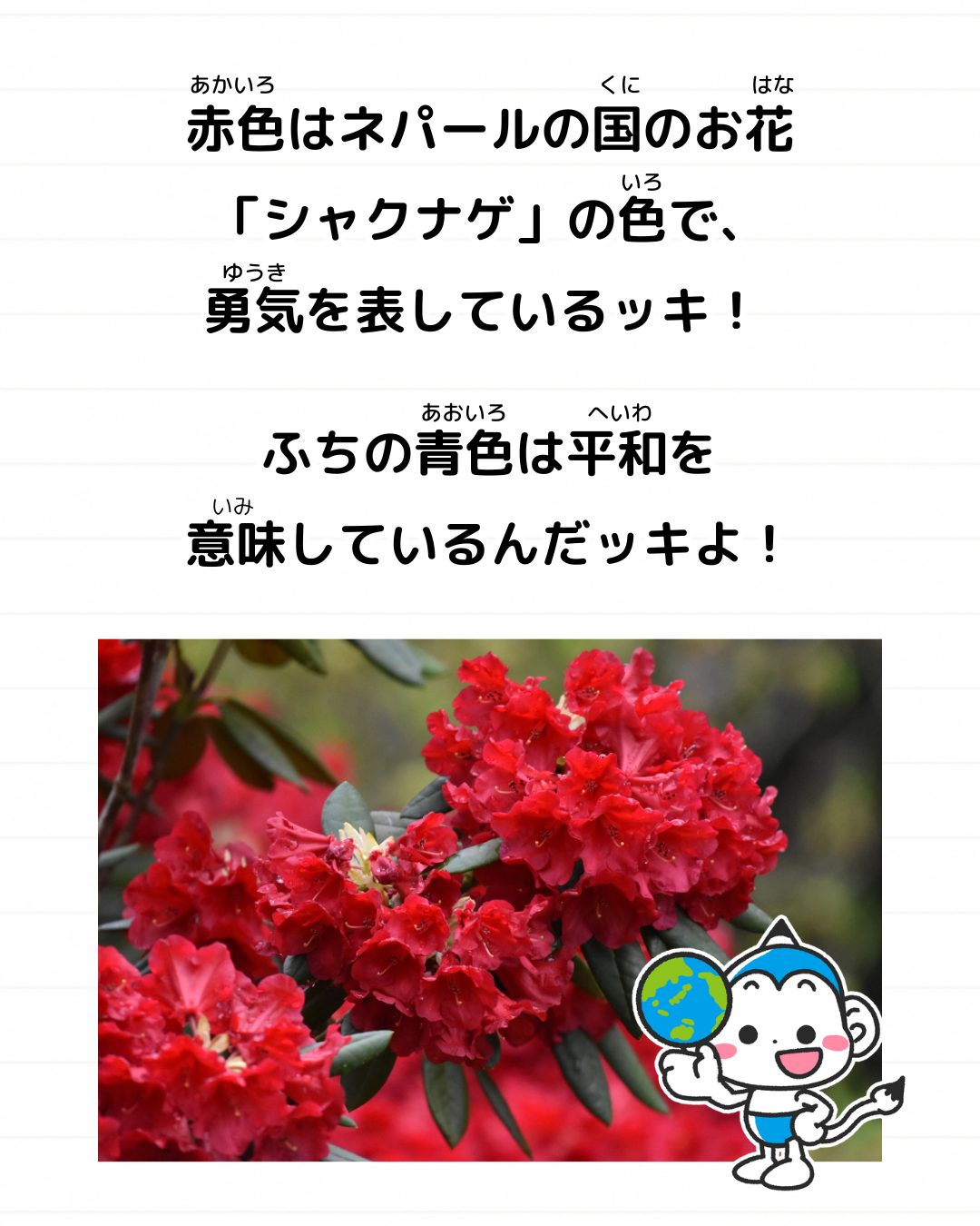 メモざる 豆知識 雑学 任天堂 ネパール 国旗 三角形 理由 なぜ