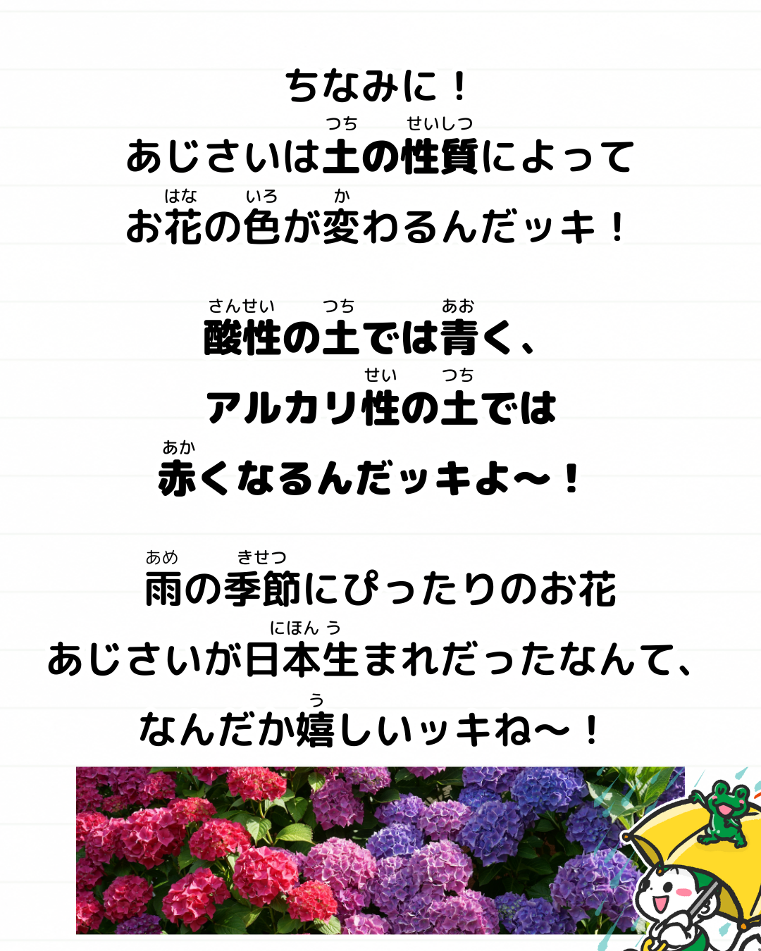 あじさい 紫陽花 日本 花 雑学 豆知識 メモざる