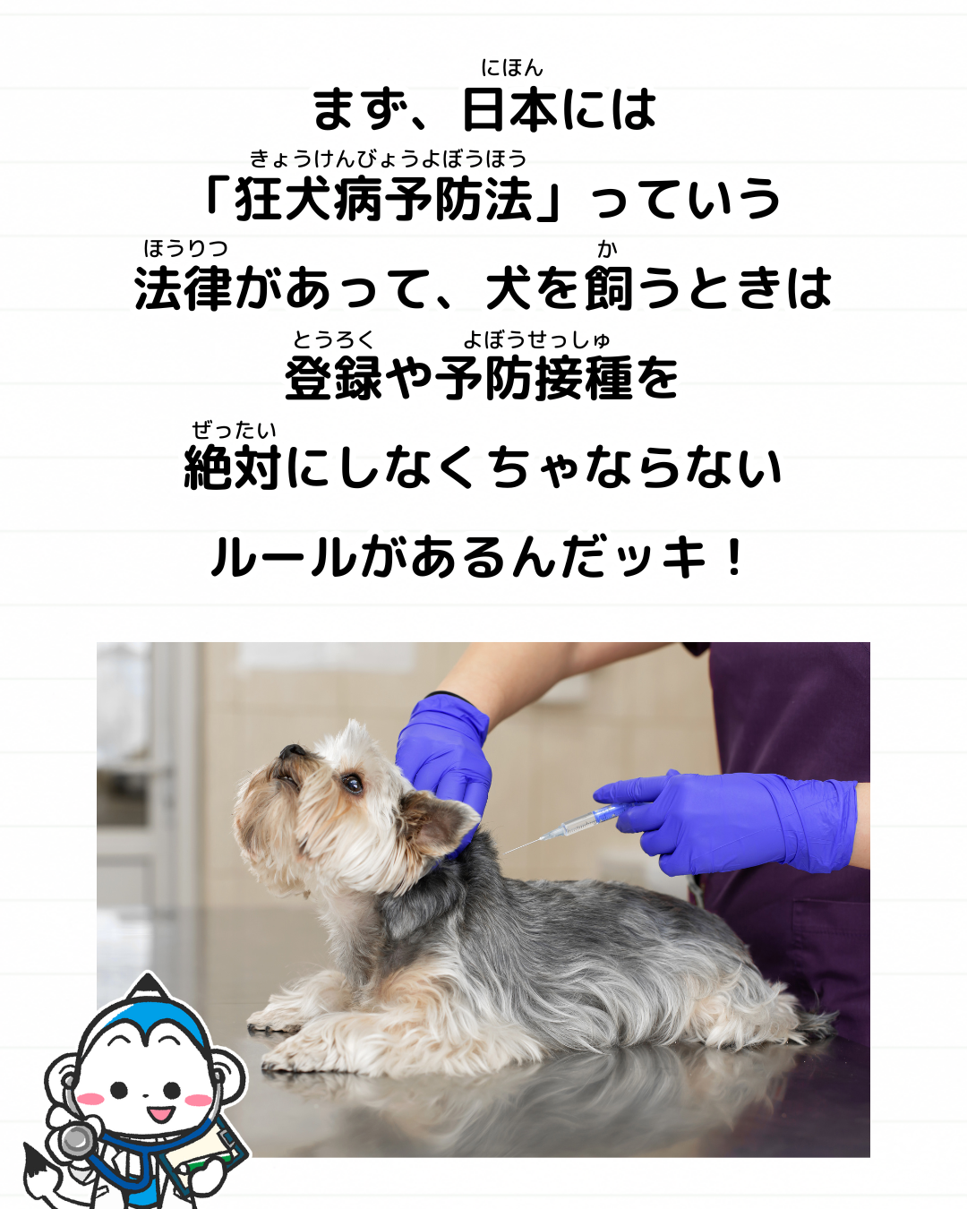 メモざる
雑学
豆知識
野良犬
見かけない
なぜ
理由
野良猫