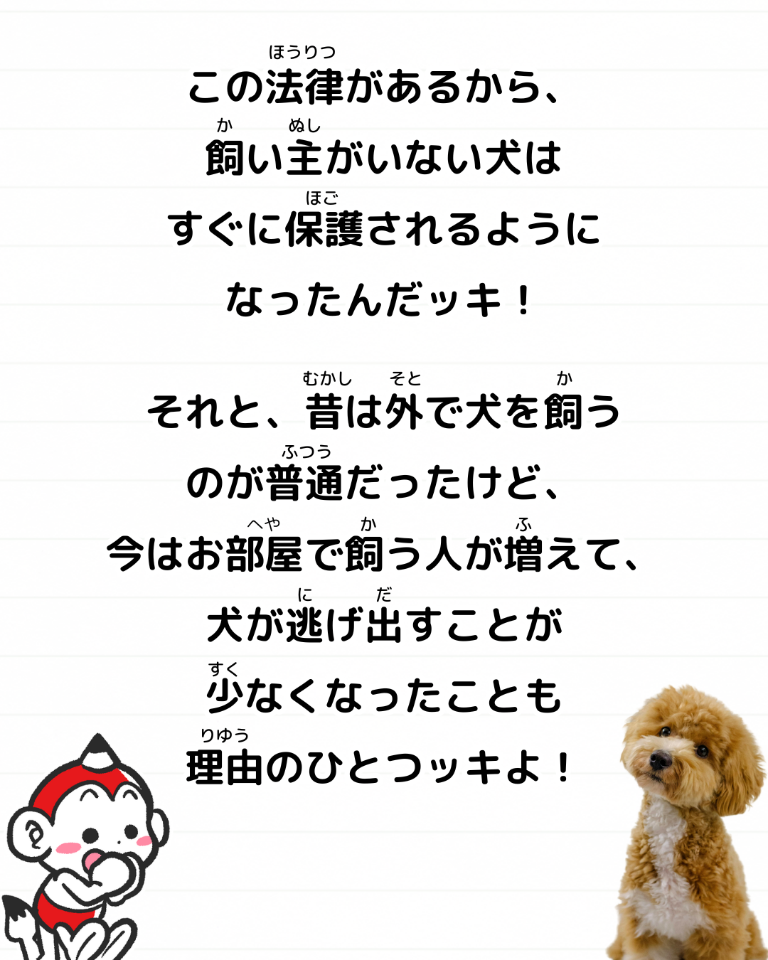 メモざる
雑学
豆知識
野良犬
見かけない
なぜ
理由
野良猫