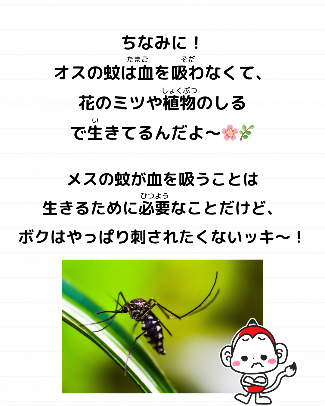 メモざる 雑学 豆知識 生き物 蚊 虫 血を吸う 理由 どうして なぜ