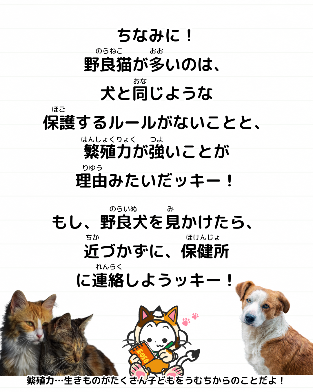 メモざる
雑学
豆知識
野良犬
見かけない
なぜ
理由
野良猫