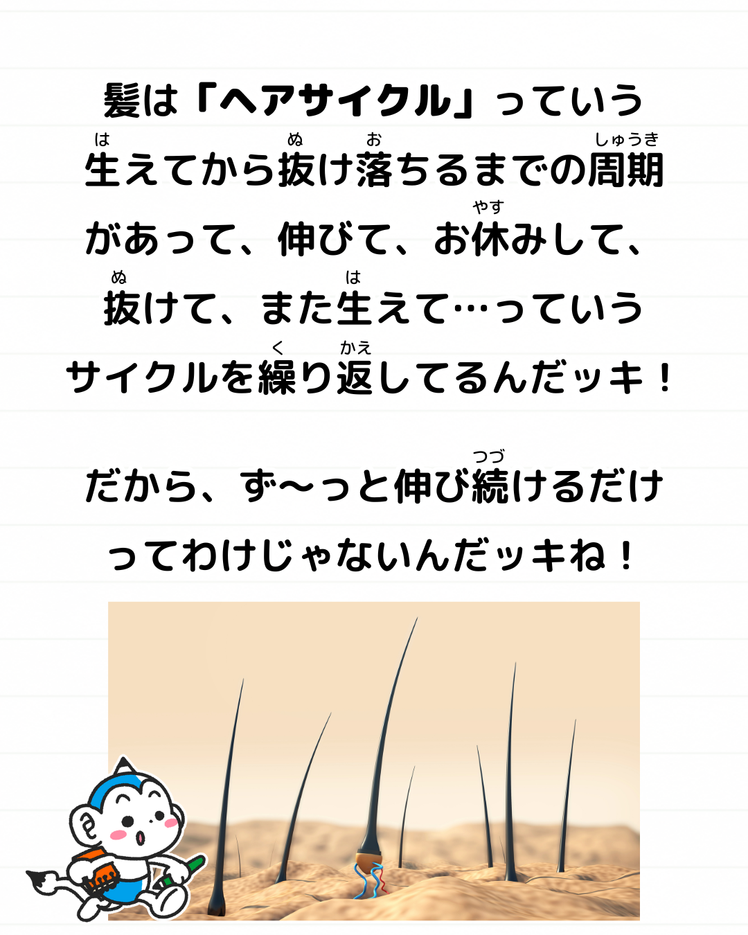 メモざる
雑学
豆知識
髪の毛
伸びる
一日
どのくらい
ヘアサイクル
