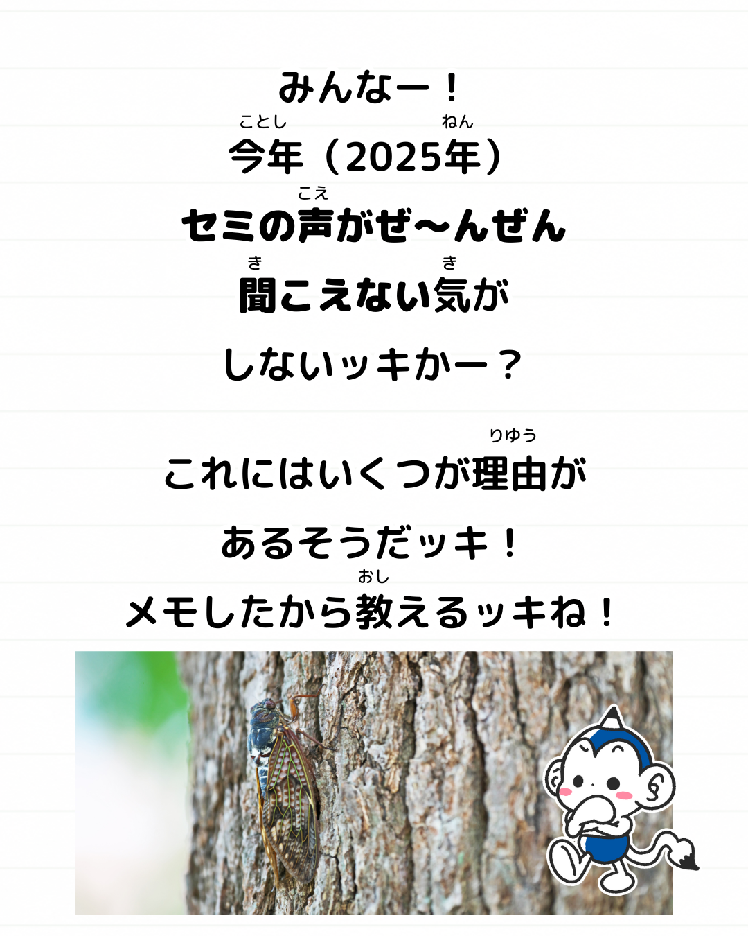 セミ 鳴き声 聞こえない