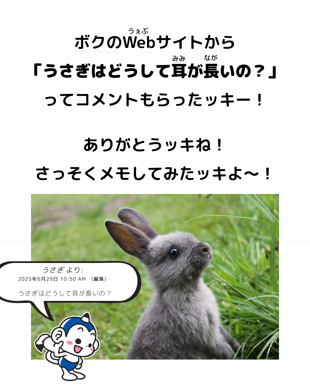 うさぎ 雑学 どうして 耳 長い 生き物 豆知識 メモざる