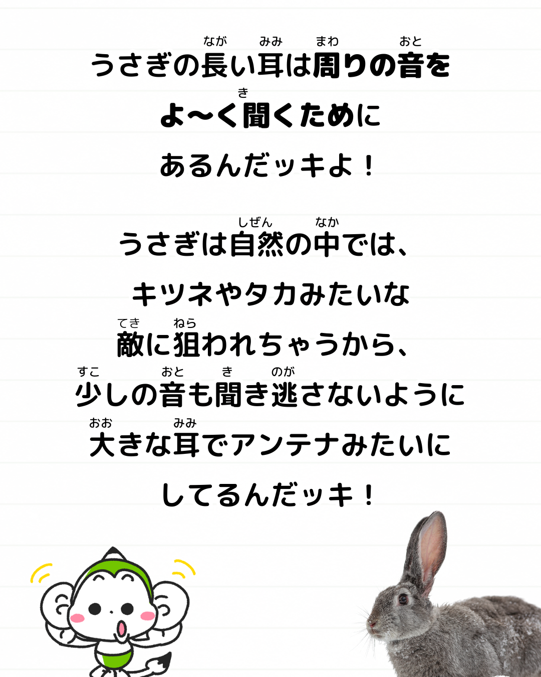 うさぎ 雑学 どうして 耳 長い 生き物 豆知識 メモざる