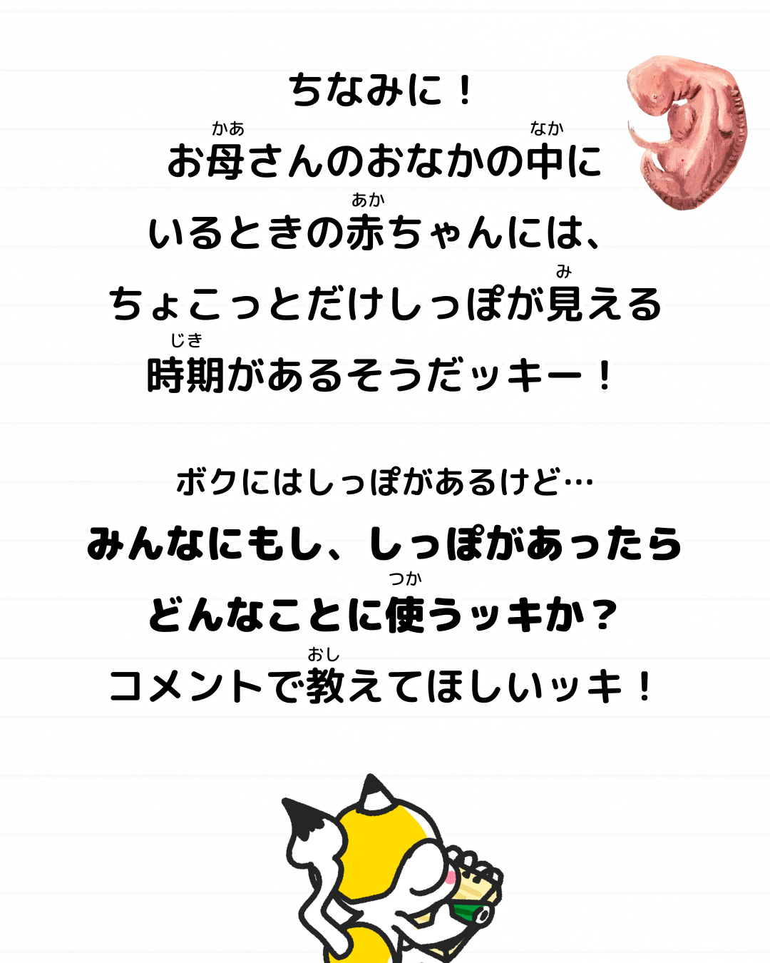 メモざる 雑学 豆知識 尻尾 しっぽ 人間 人 ない 理由