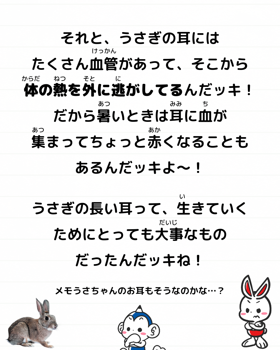 うさぎ 雑学 どうして 耳 長い 生き物 豆知識 メモざる