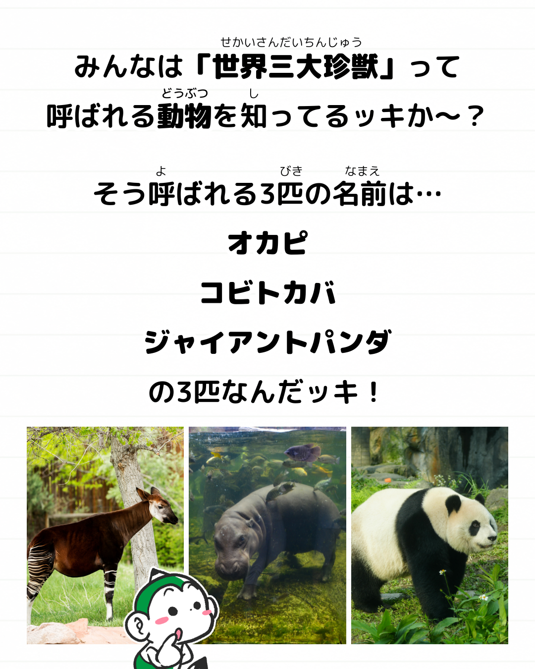 メモざる 世界三大珍獣 雑学