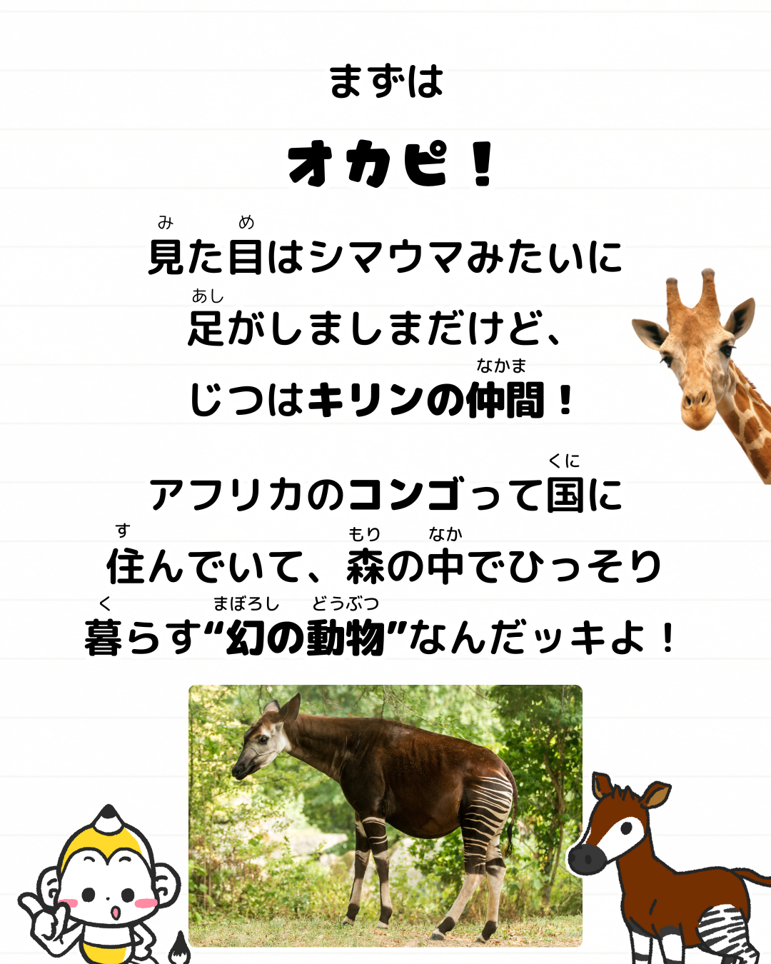 メモざる 世界三大珍獣 雑学 オカピ