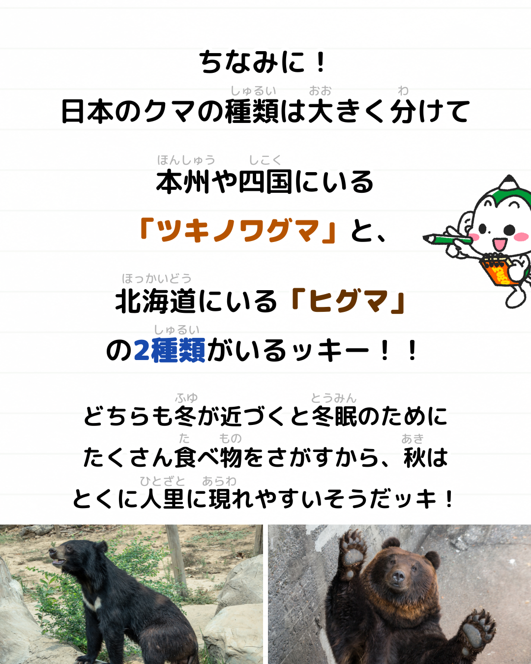 メモざる ニュース 雑学 クマ 熊 出没