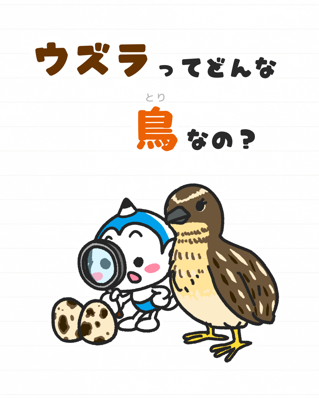 メモざる
ウズラ
生態
卵
スーパー