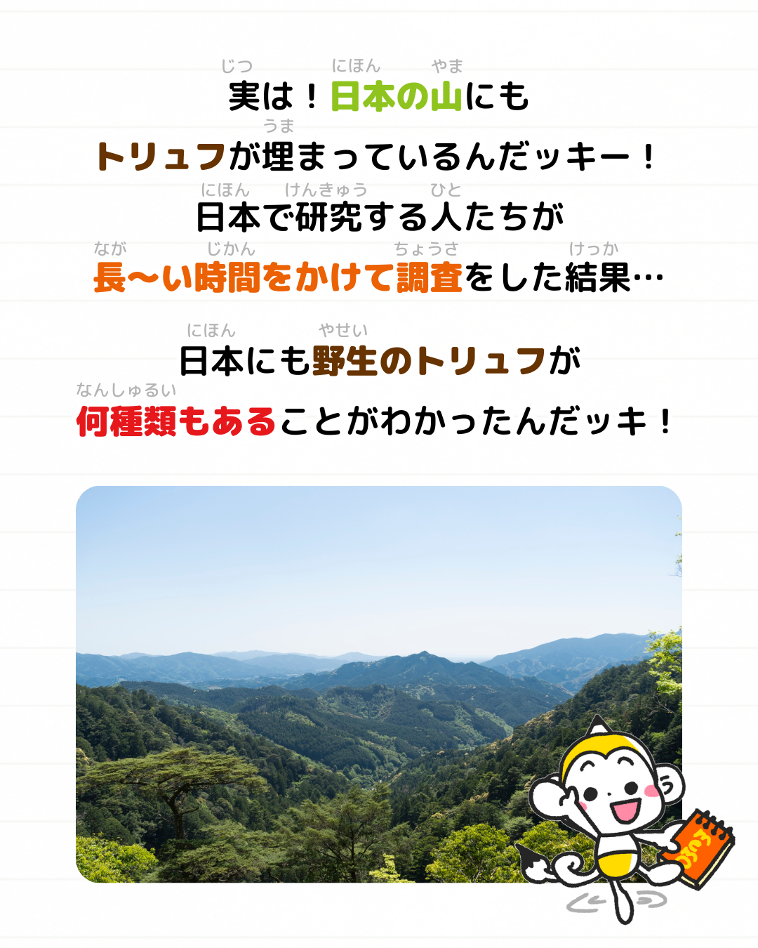 メモざる 雑学 トリュフ 日本 国産