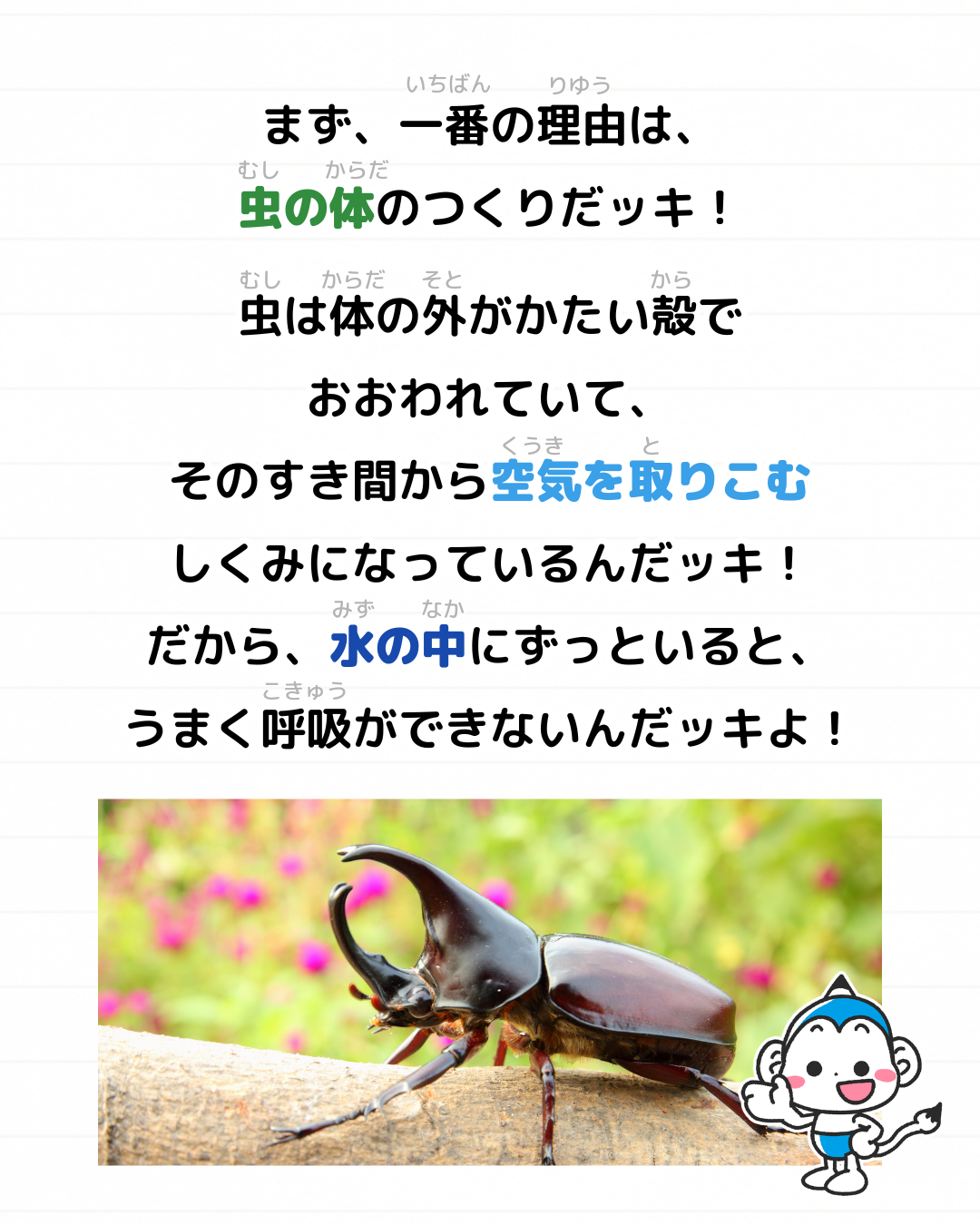 メモざる 雑学 海 虫 いない 理由 なぜ
