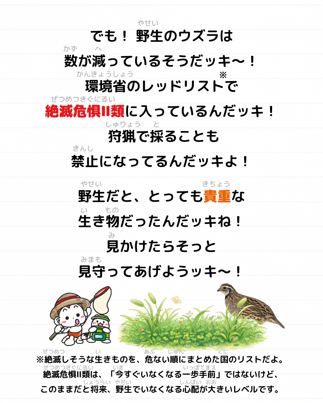 メモざる ウズラ 生態 卵 スーパー