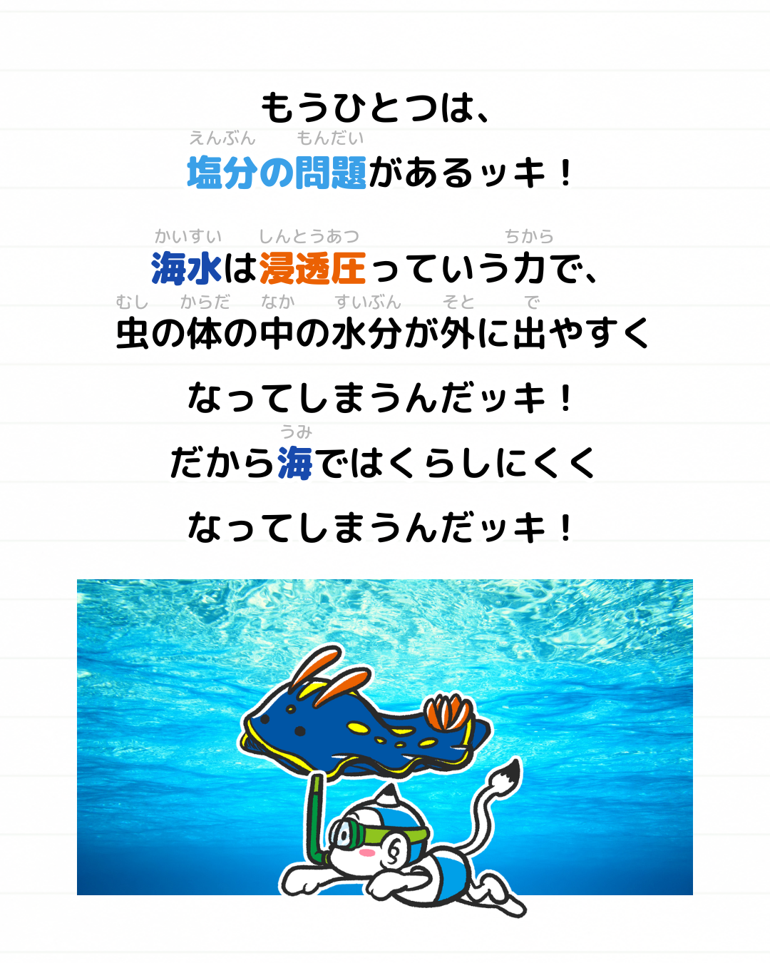 メモざる 雑学 海 虫 いない 理由 なぜ