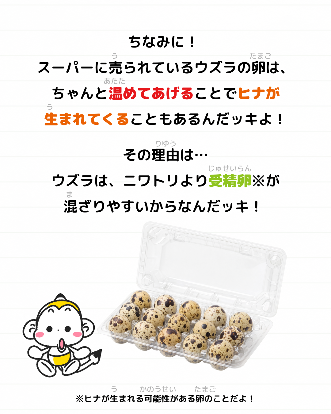 メモざる ウズラ 生態 卵 スーパー