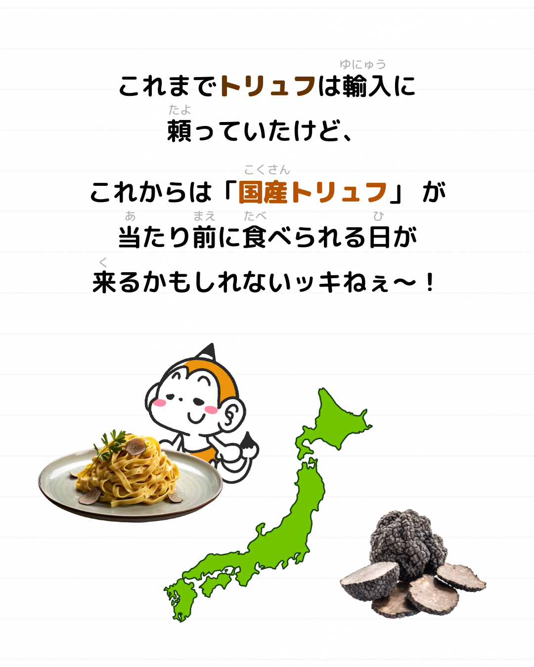 メモざる 雑学 トリュフ 日本 国産