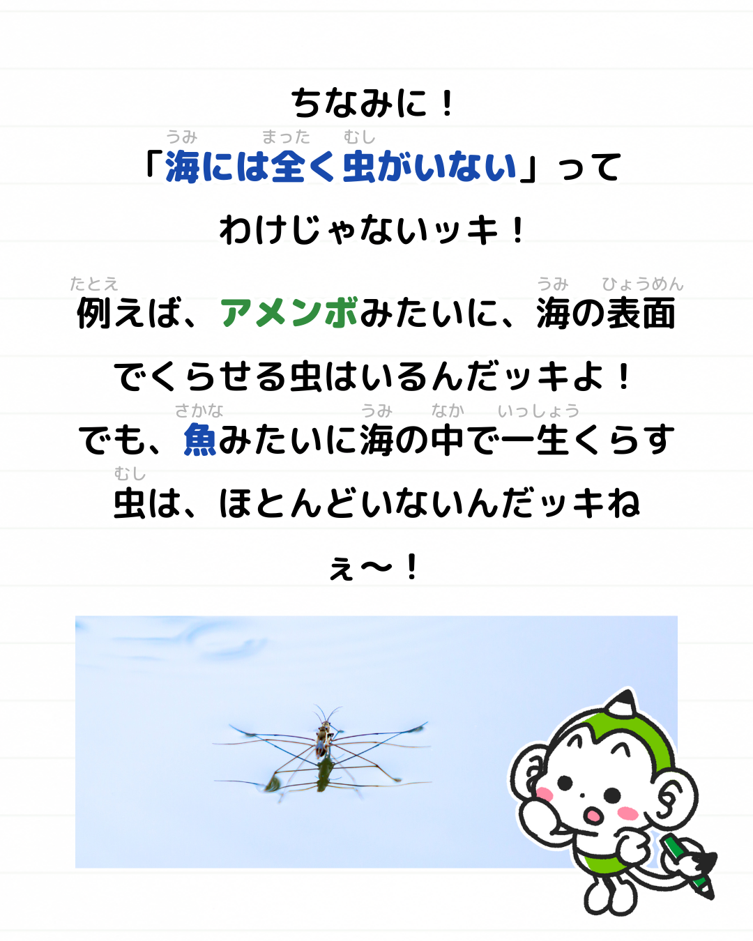 メモざる 雑学 海 虫 いない 理由 なぜ