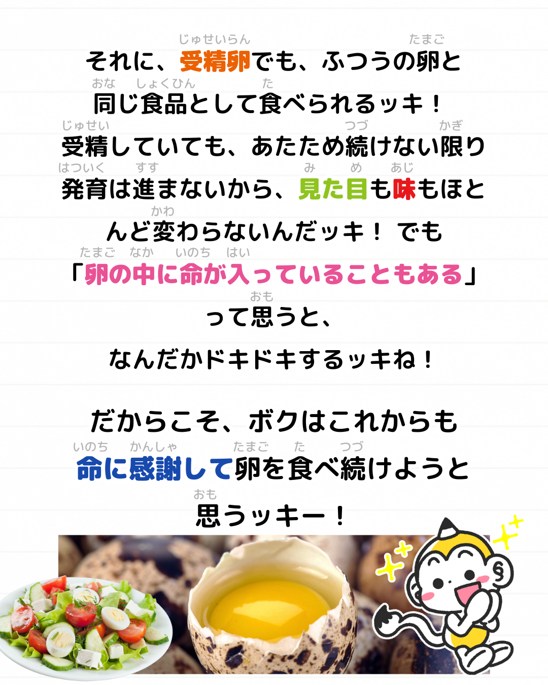 メモざる ウズラ 生態 卵 スーパー