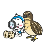 ウズラってどんな鳥なの？