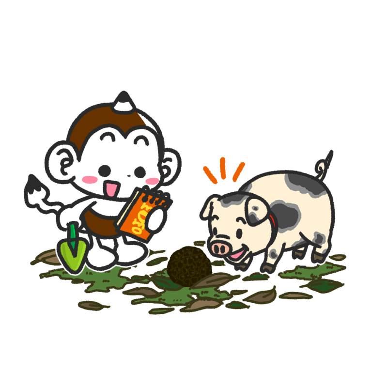 メモざる 雑学 トリュフ 日本 国産