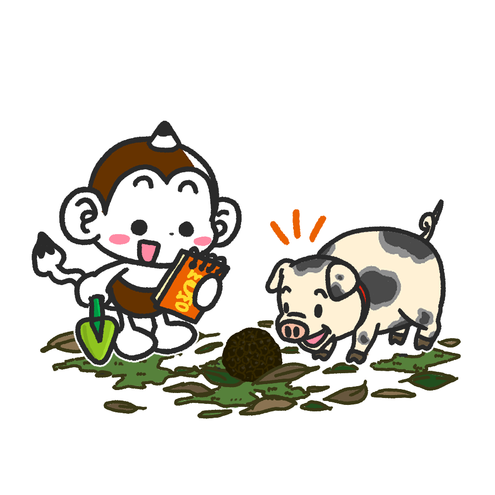 メモざる 雑学 トリュフ 日本 国産