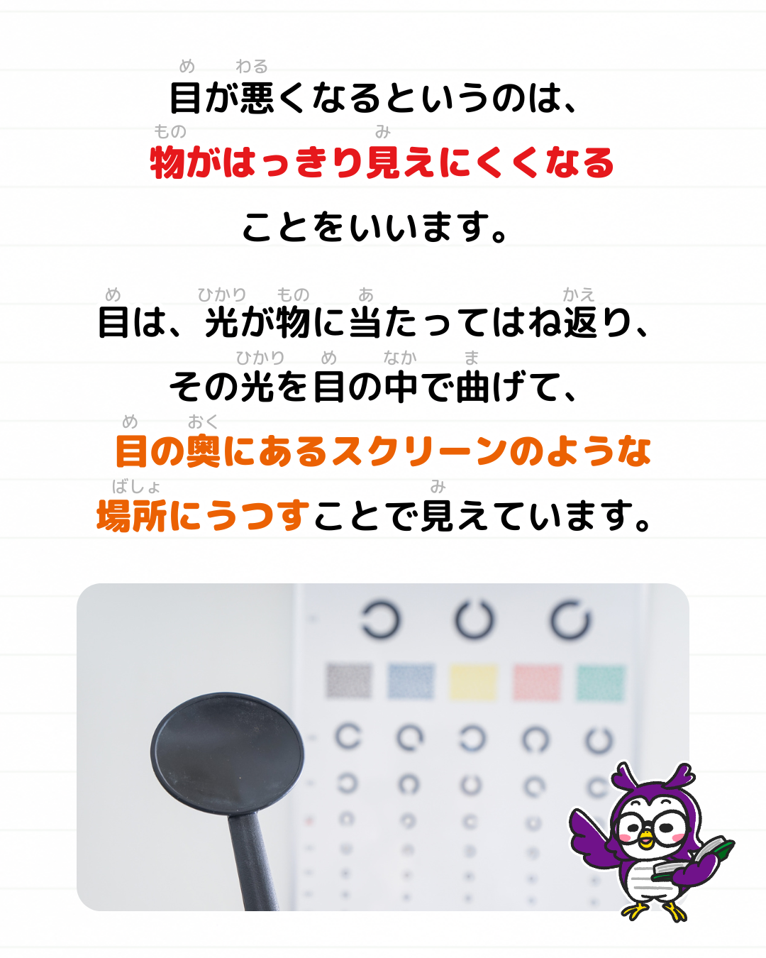 メモざる 雑学 視力 低下 目 悪くなる 原因 なぜ 理由