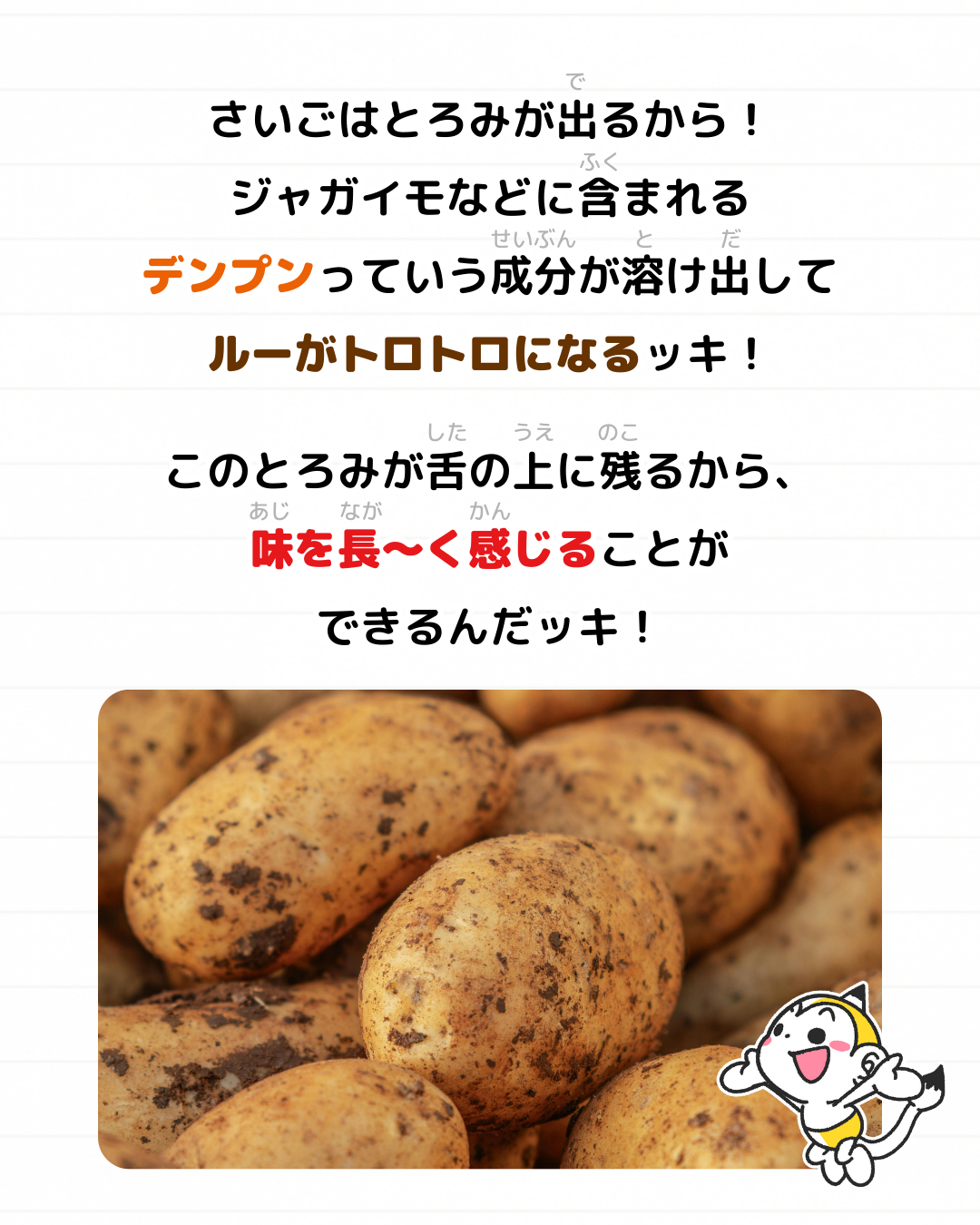 メモざる 雑学 豆知識 カレー 二日目 理由