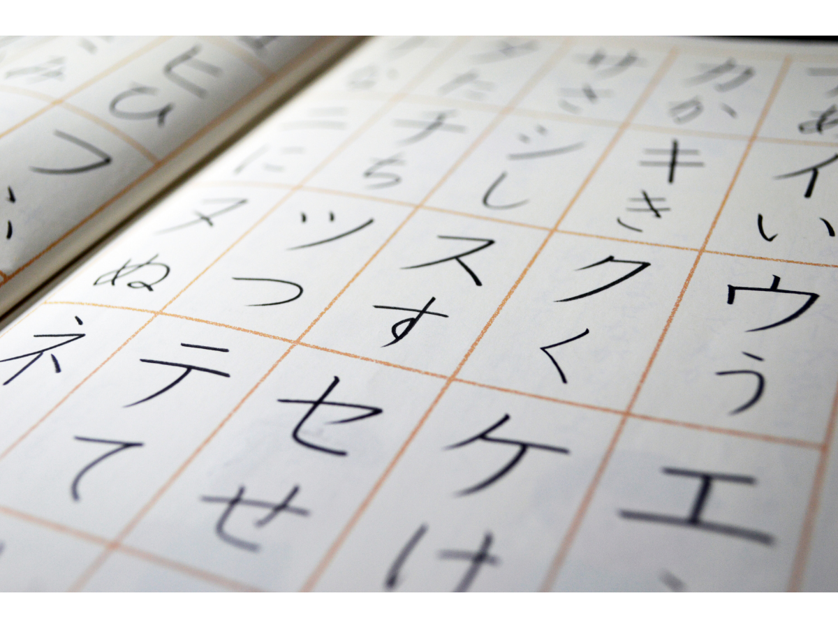 日本の苗字って何種類あるか知ってる？ ちなみに