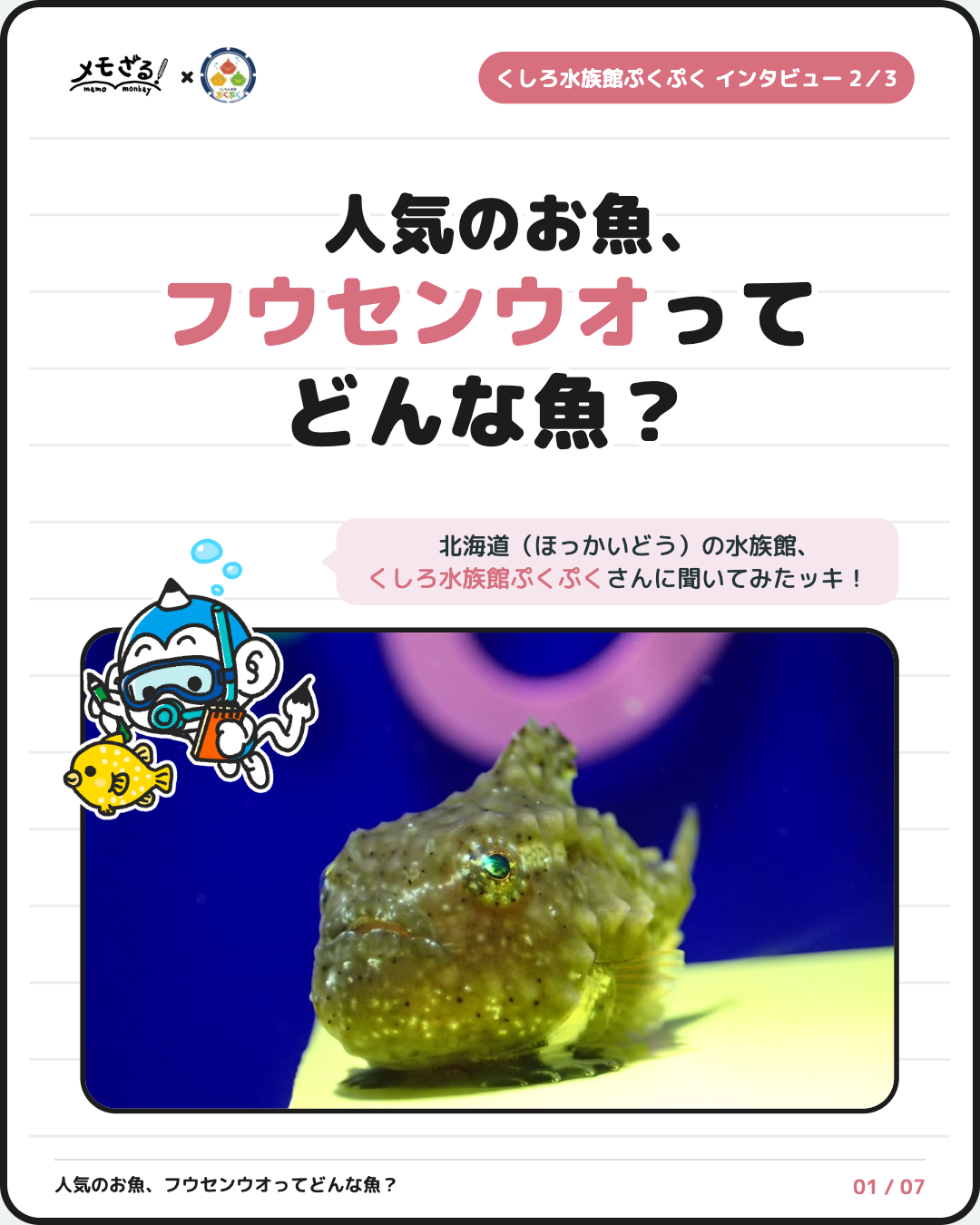 くしろ水族館ぷくぷくさん 第2回 1ページ 表紙