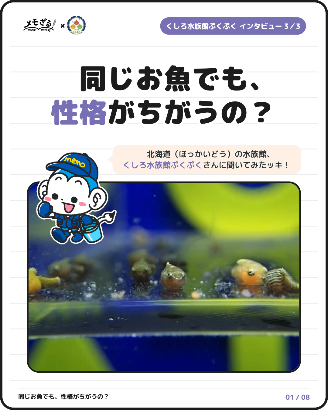 くしろ水族館ぷくぷくさん 第3回 1ページ 表紙